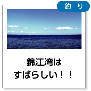 錦江湾はすばらしい！！