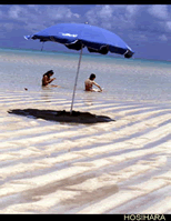 夢の砂浜　与論島